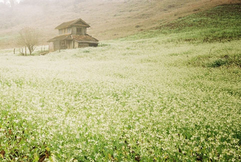 Mùa Đông Này Nên Du Lịch Ở Đâu