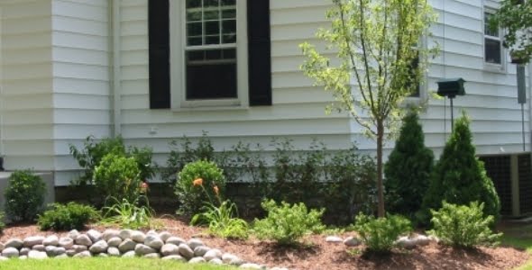 Landscaping Ideas For Front Yard