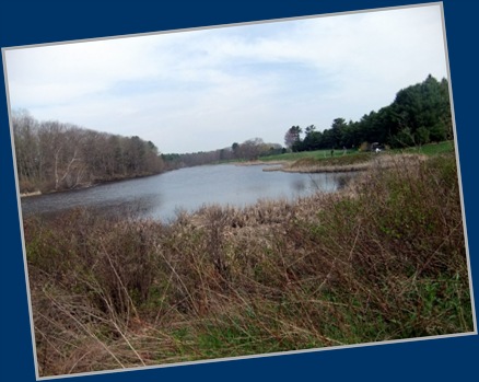 Little Pond Next To The Golf Course