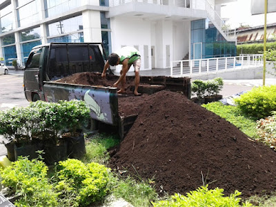 Jual Tanah Humus Terdekat