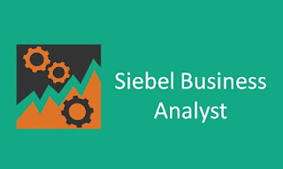  Siebel CRM Online Training