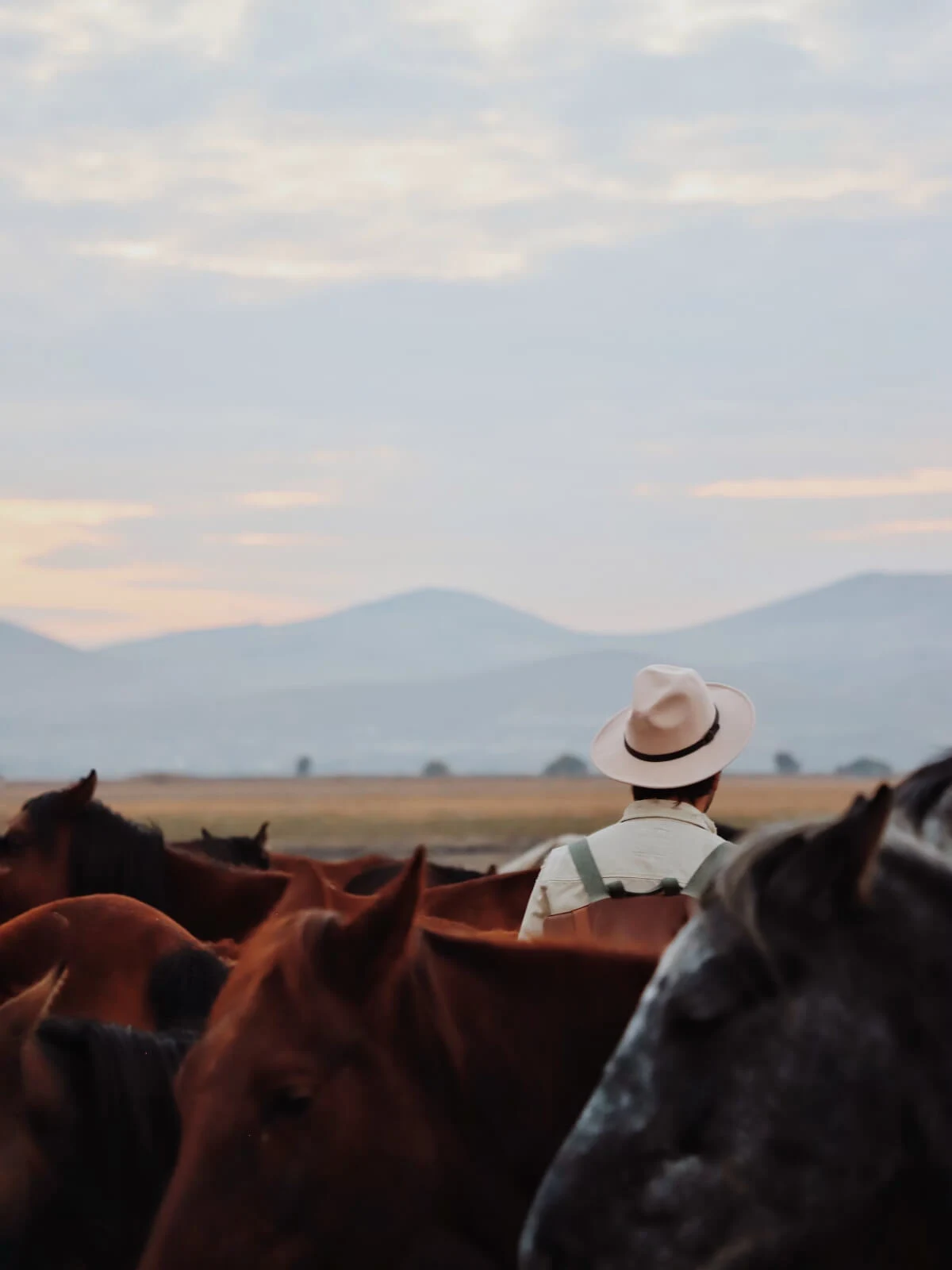 A man in a cowboy hat | wide image