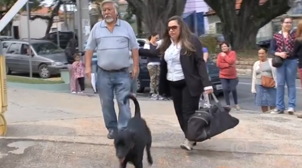 Cão que esperou uma semana em porta de hospital reencontra o tutor