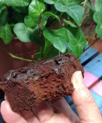 New Nutrient Dense Chocolate Brownies (Paleo, Whole30, Gluten-Free, Dairy-Free, Sugar-Free).jpg