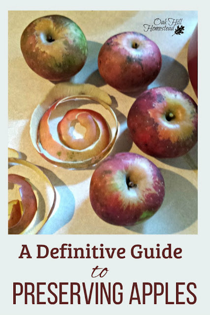 Have apples? You need this definitive guide to preserving apples so you can enjoy them year round!