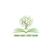 Ảnh của tôi