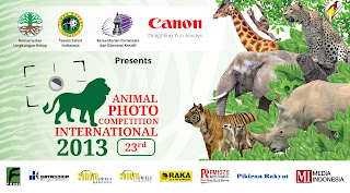 Animal Photo Competition International 2013
