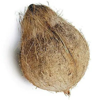 Semi husked coconut
