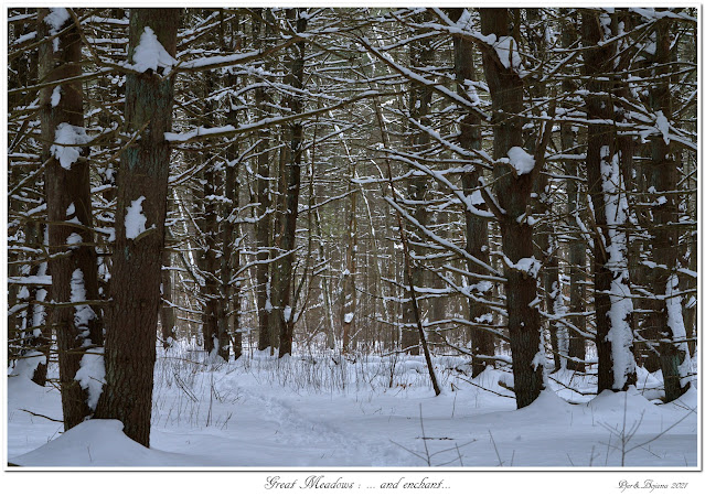 Great Meadows: ... and enchant...