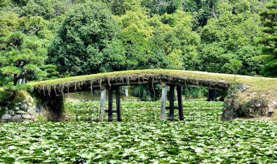 Bridges at Shurakuen Garden Tsuyama.