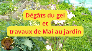 dégâts après travaux jardin (vidéo)