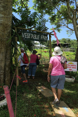 vegetable farm manila