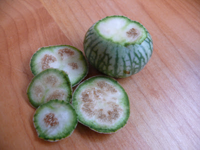 thai baby green eggplant