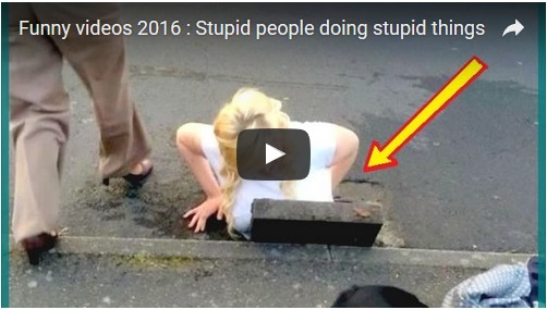 http://day2news.com/funny-videos-2016-stupid-people-stupid-things/