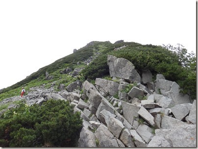 300DSC04110-300