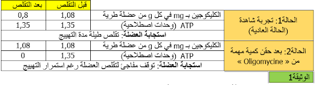 آلية  التقلص  العضلي