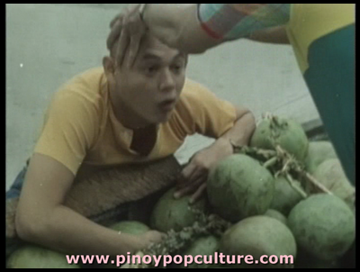 Bembol Roco, buko, vendor