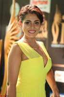 Madhu Shalini Looks Super Cute in Neon Green Deep Neck Dress at IIFA Utsavam Awards 2017  Day 2  Exclusive (32).JPG