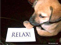 relax dog