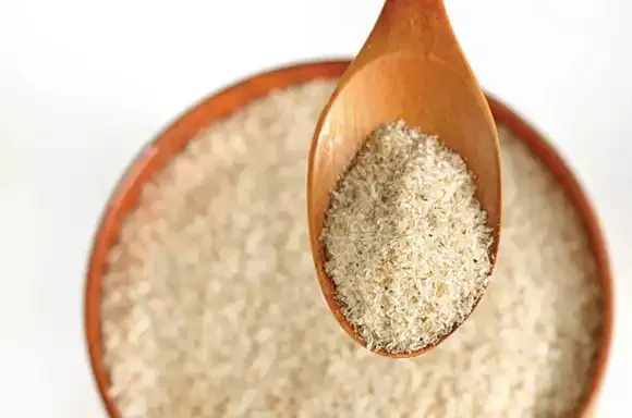 Psyllium em pó e sementes de Plantago ovata, principais fontes de fibra natural."