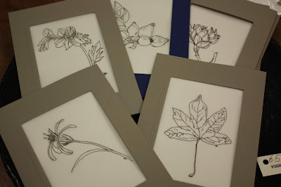 botanical illustration, scientific illustration,  drawing plants, art, Sarah Loecker Art