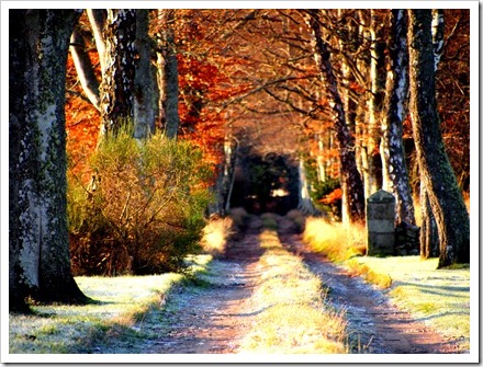 15 Dec 12 16-12-2011 13-56-30