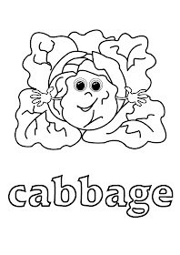 vegetables coloring pages - cabbage