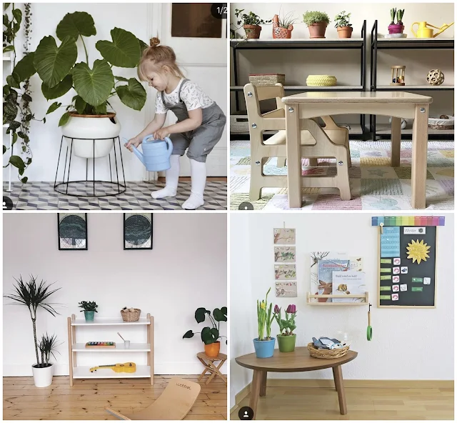 Inspiring plants in Montessori Spaces