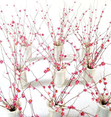 CHERRY BLOSSOM TREE BRANCHES Diposkan oleh admin di 0215