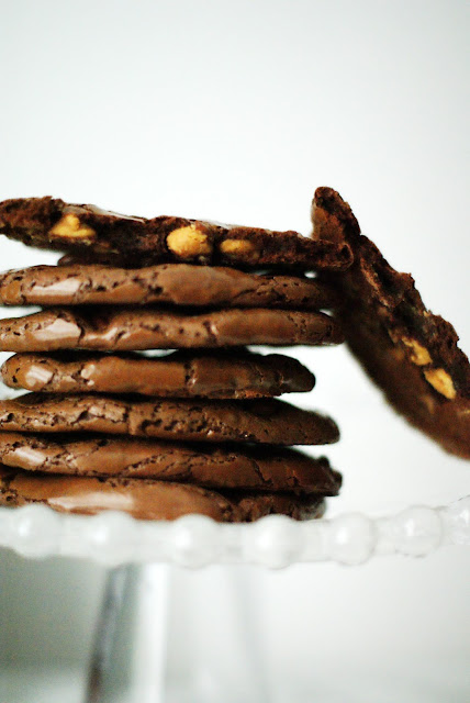 3 Ingredient Chocolate Peanut Butter Cookies