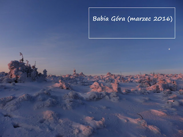 Babia Góra z przełęczy Krowiarki zimą (wschód słońca)