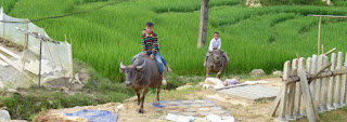 Trekking por Sapa.