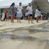 Copiosa lluvia deja ver rebosamiento de aguas negras en el “paradisiaco” mar de Playa del Carmen