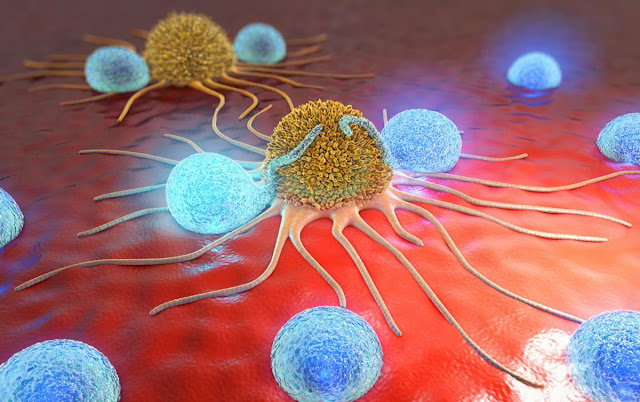 T-cell Lymphoma Market