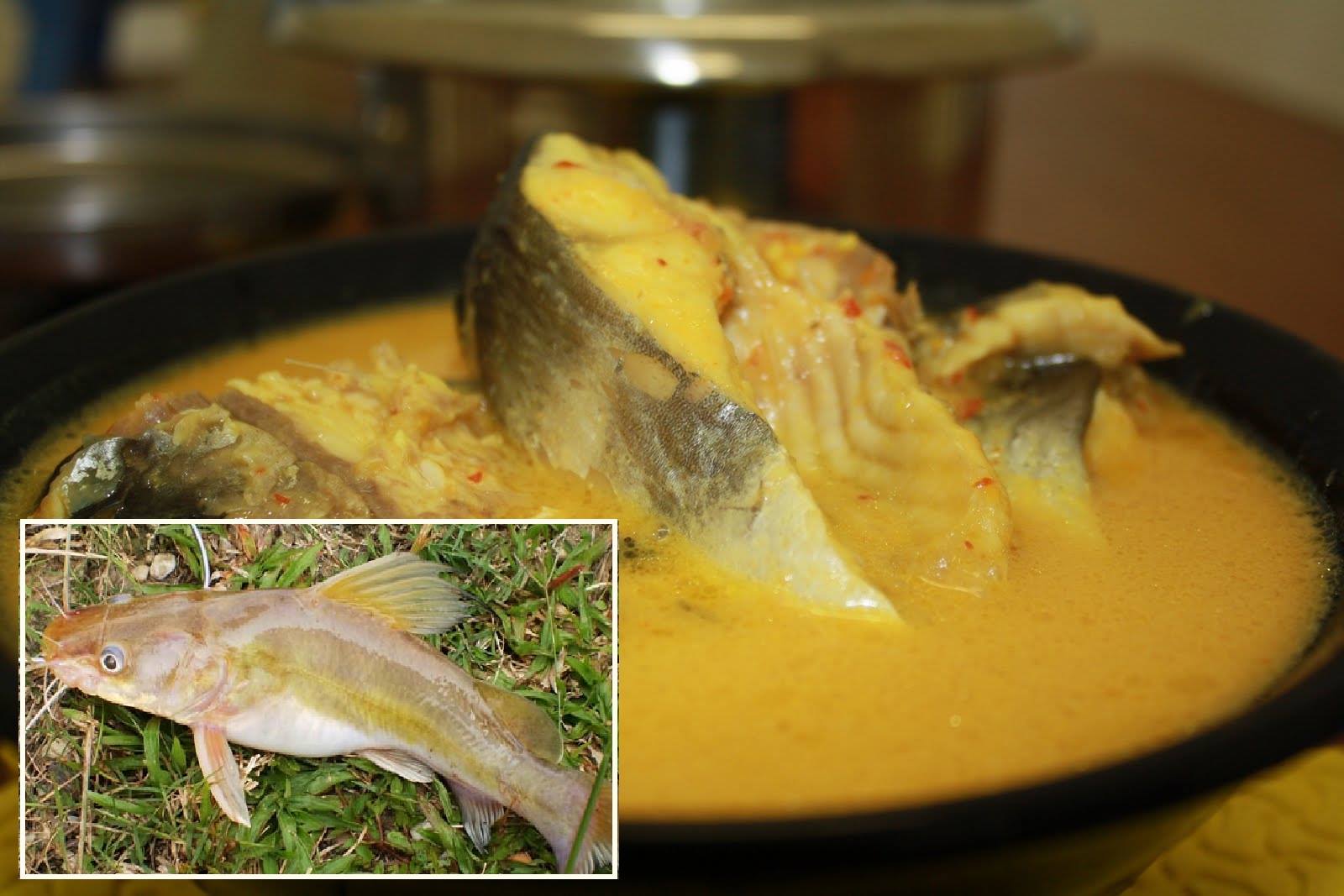 Di celah-celah kehidupan: RESEPI IKAN BAUNG SUNGAI MASAK 