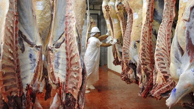 Preocupación en Mendoza por el cierre de las exportaciones de carne