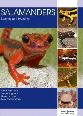 http://www.unzooencasa.com/2014/12/salamanders-keeping-and-breeding.html