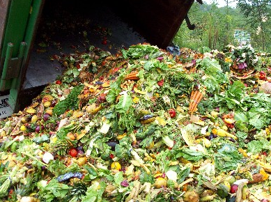 Cara Membuat Pupuk Kompos Dari Sampah Organik  MazMuiz