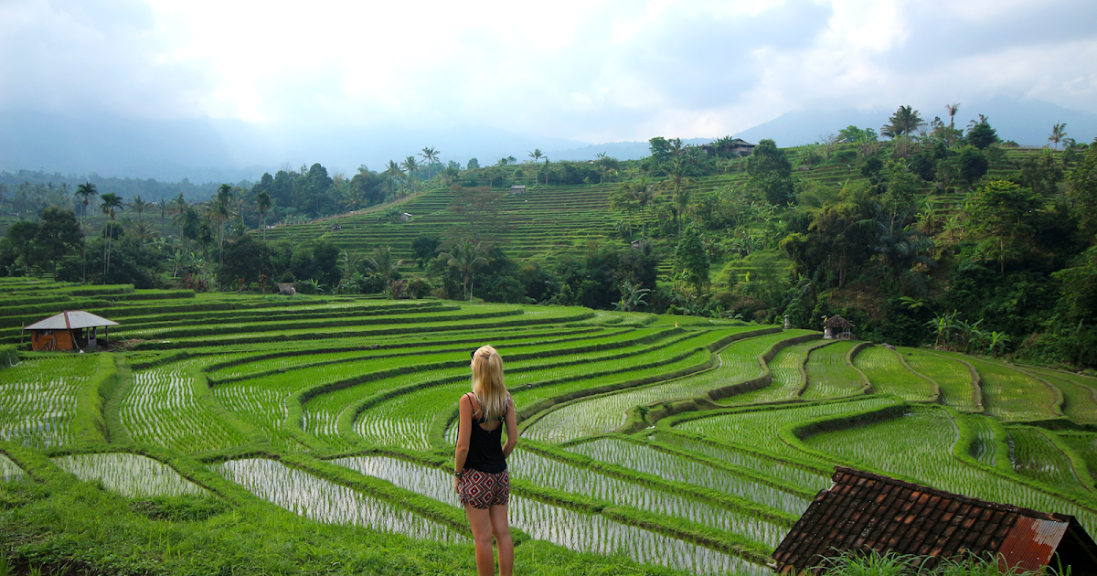 Guide Bali  La magie des rizi res  Smoothie Bikini 