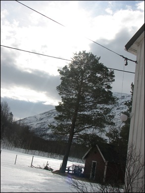 Alt mulig 346