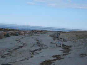 On Vacation - The Beaches of Cape Cod!