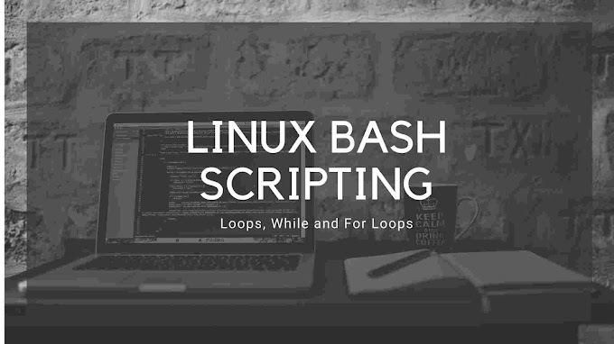 How To Write Loops In Bash Programming? - Shell Scripting