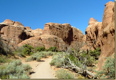 2010-09-10 - UT, Arches National Park, Devils Garden Hike -1062