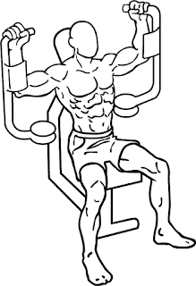Best Chest Workout for Beginner at Gym | Health and Fitness