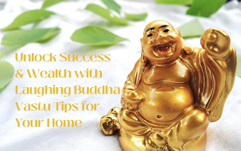 Unlock Success and Wealth with Laughing Buddha - Vastu Tips for Your Home - Web News Orbit