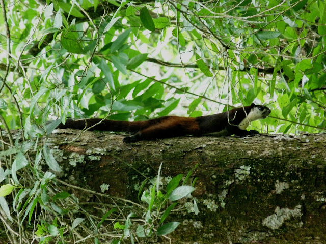 ছবি