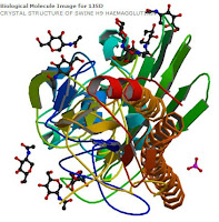 There are 15 Haemagglutinin complexed subtypes of influenza A virus (H1-H15).