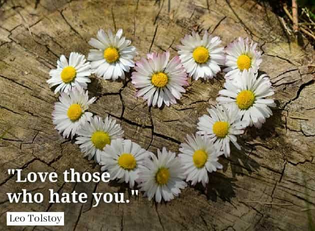 "Love those who hate you." Leo Tolstoy quotes loving