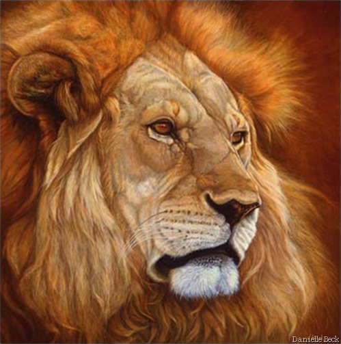 Danielle Beck. Lion de Tanzanie. Huile