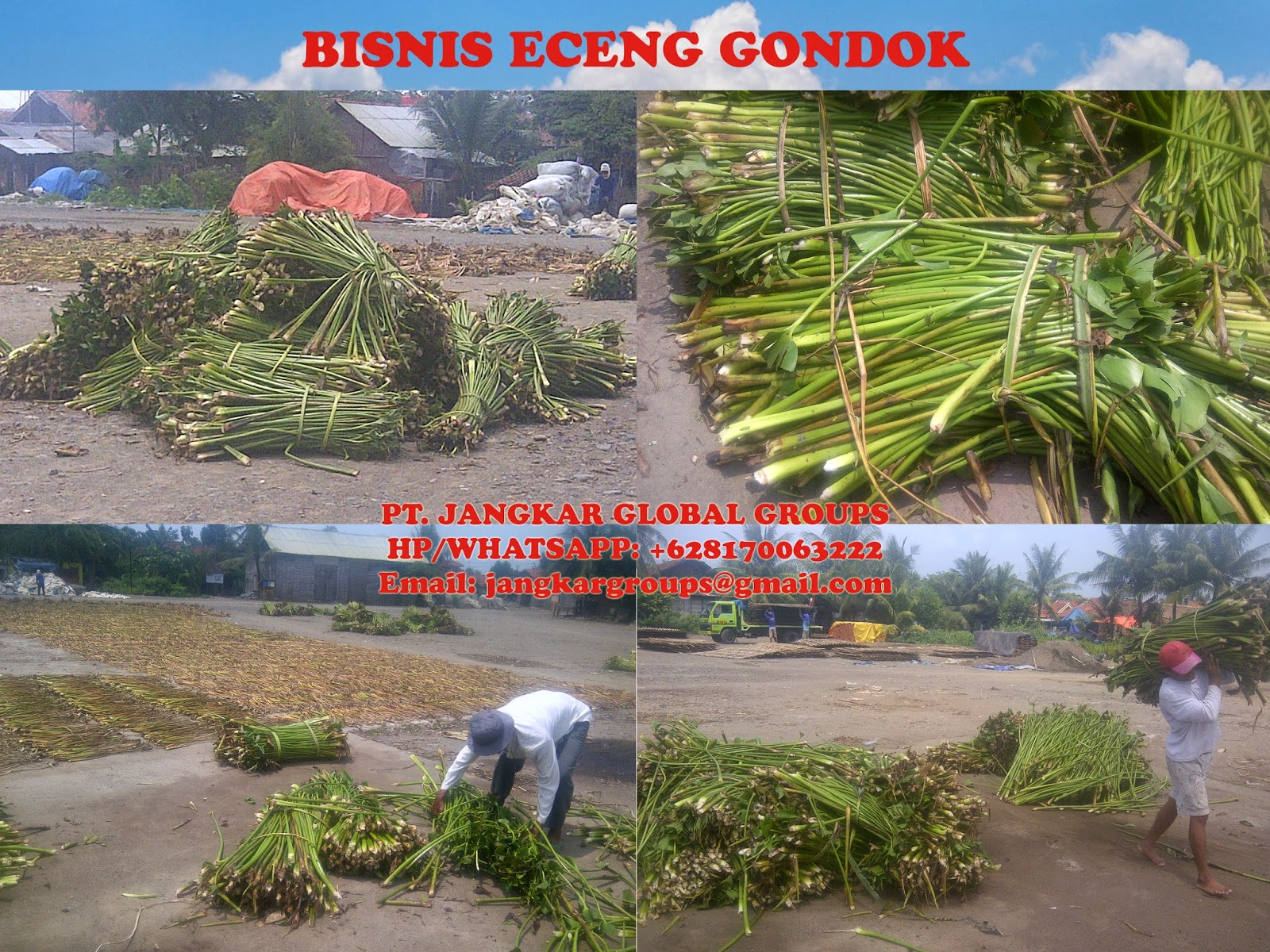 Jangkar Groups ECENG  GONDOK  INDRAMAYU